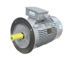 西馬格立式電機(jī)